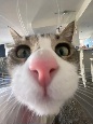 Avatar du membre